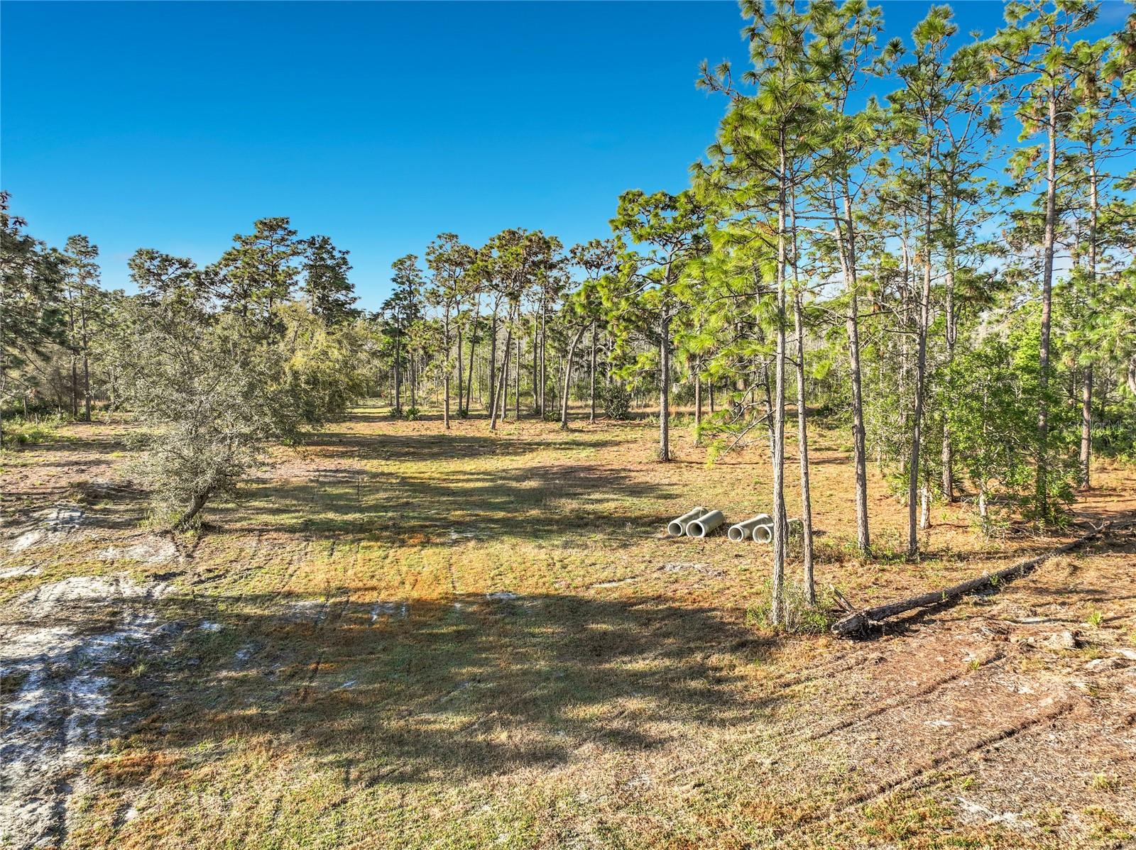 Quarterly Pkwy Property Photo 7