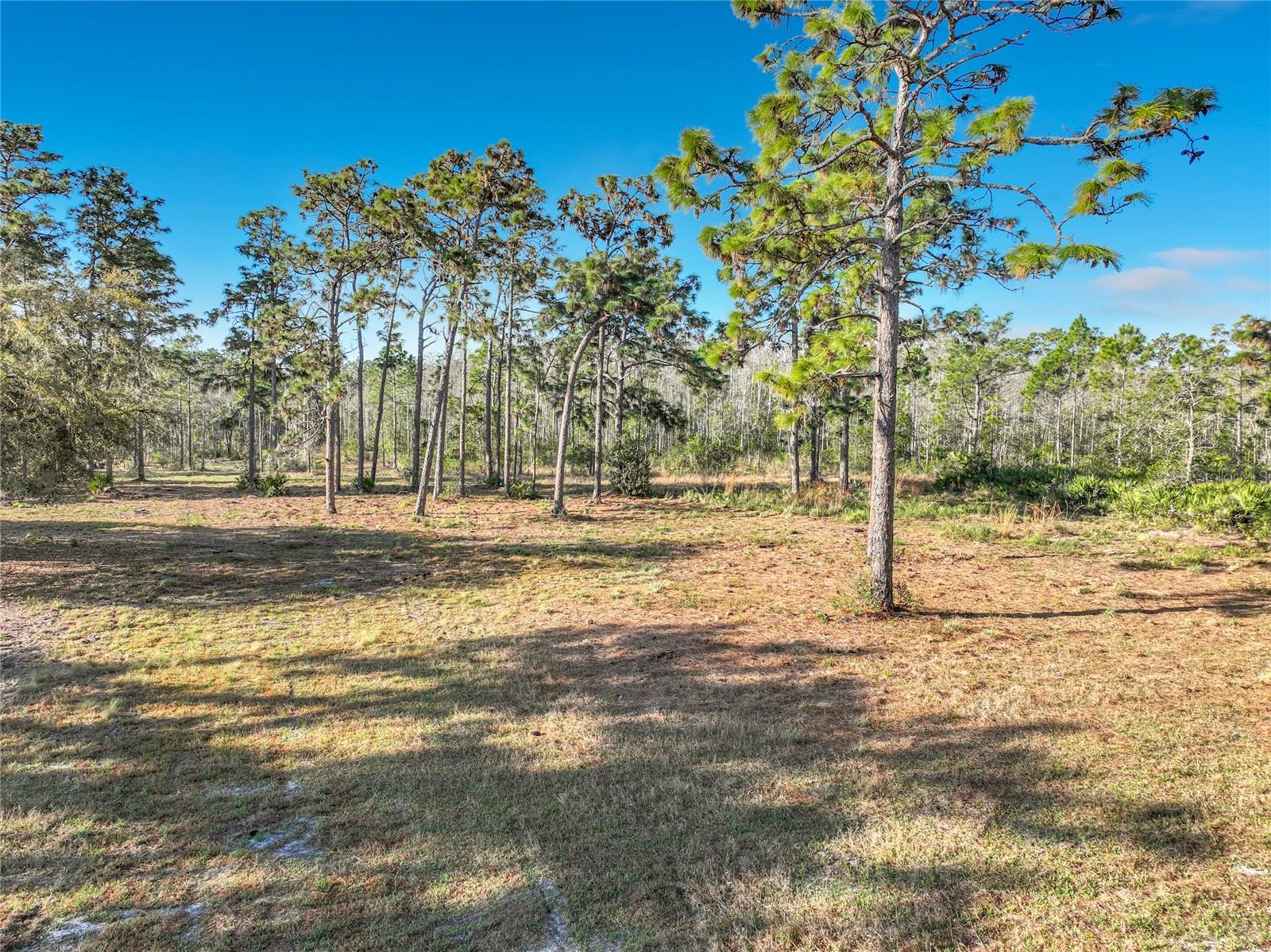 Quarterly Pkwy Property Photo 8