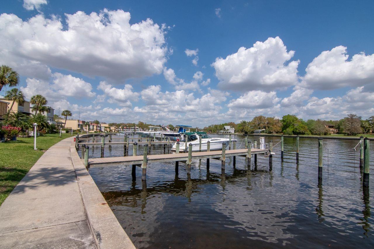2424 W Tampa Bay Blvd #c105 Property Photo 49