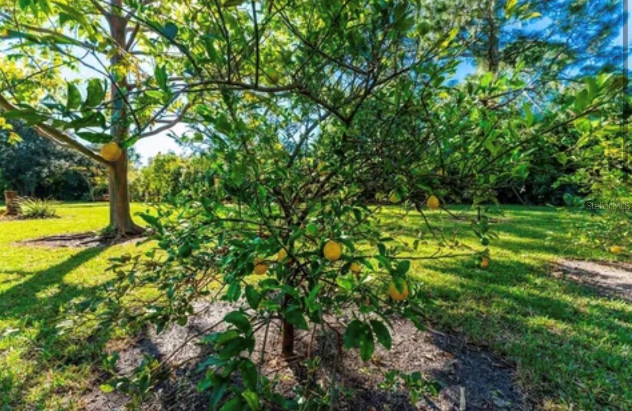 25271 Roland Ln Property Photo 2