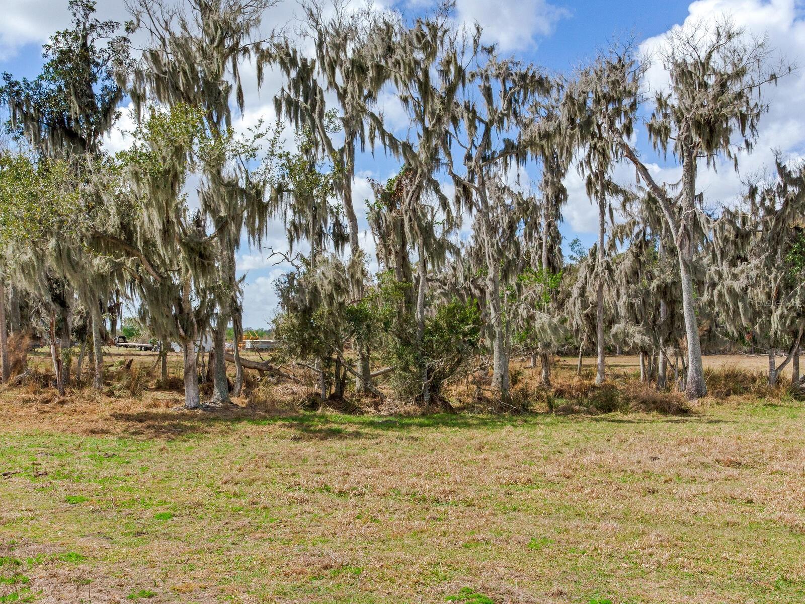 0 S Cr 39 Property Photo 3