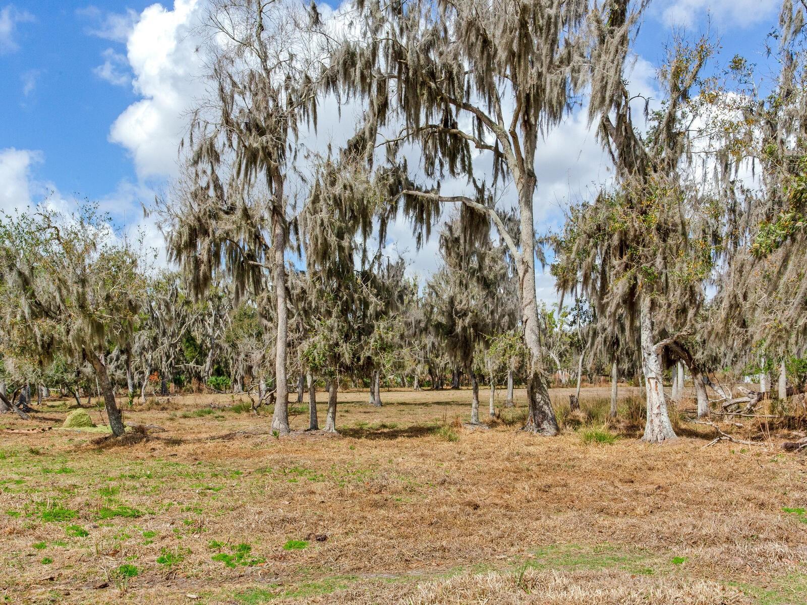 0 S Cr 39 Property Photo 5