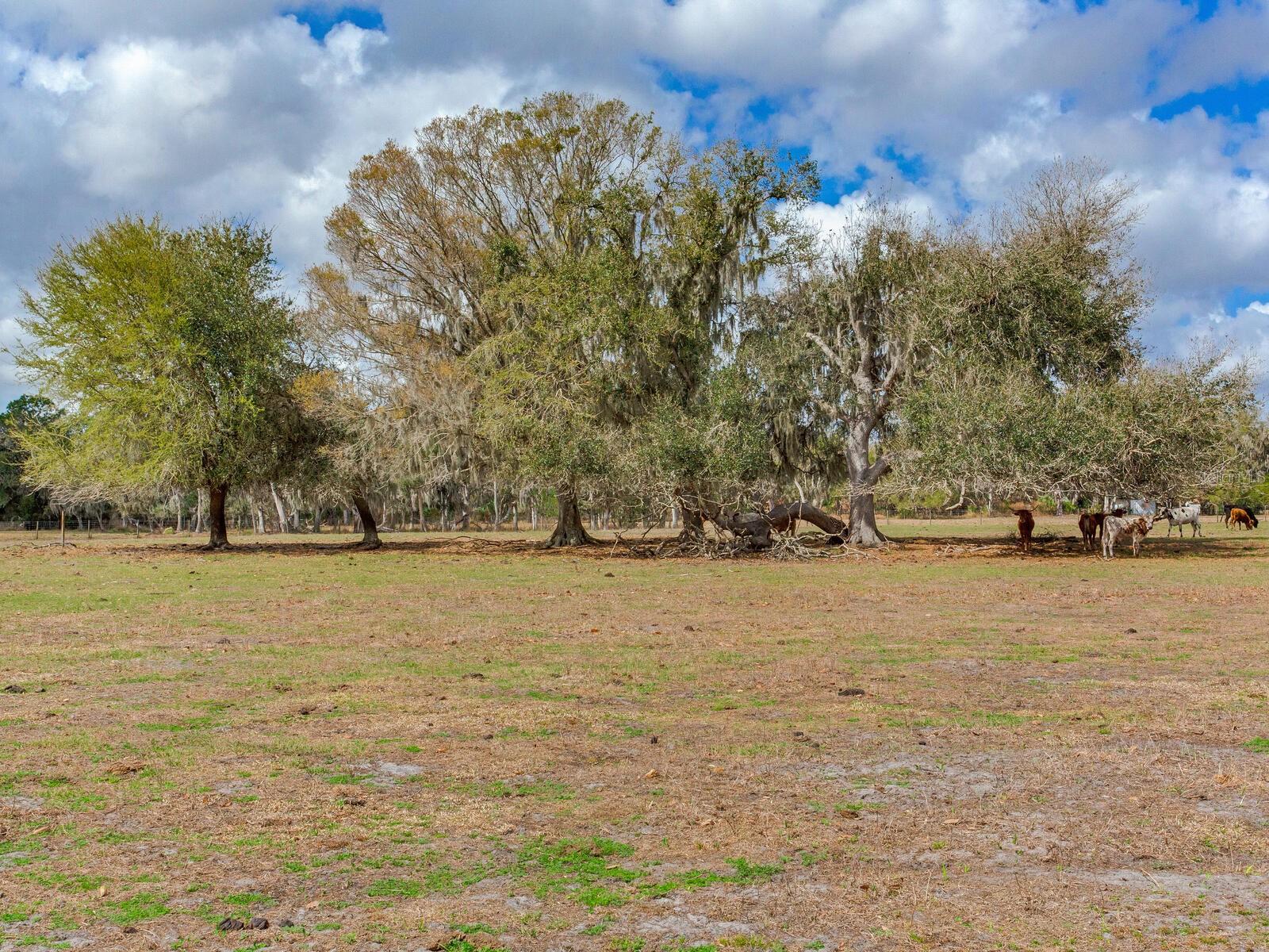 0 S Cr 39 Property Photo 1