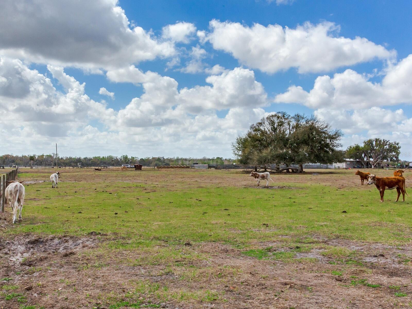 0 S Cr 39 Property Photo 4