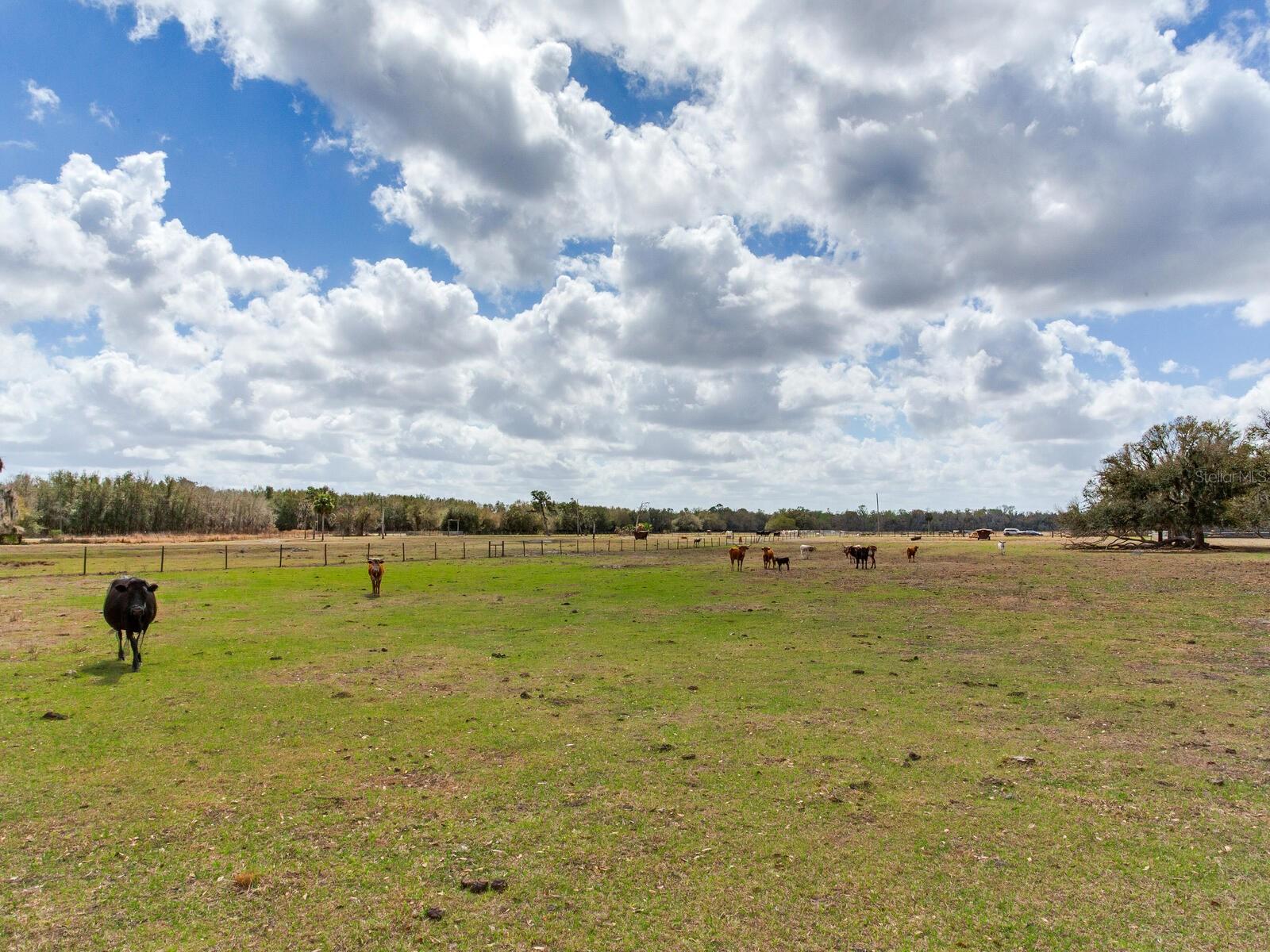 0 S Cr 39 Property Photo 6