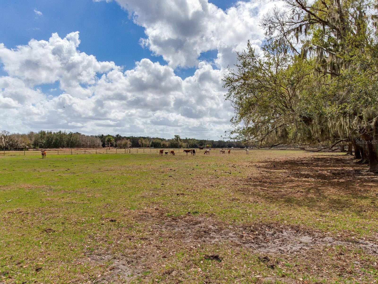 0 S Cr 39 Property Photo 7
