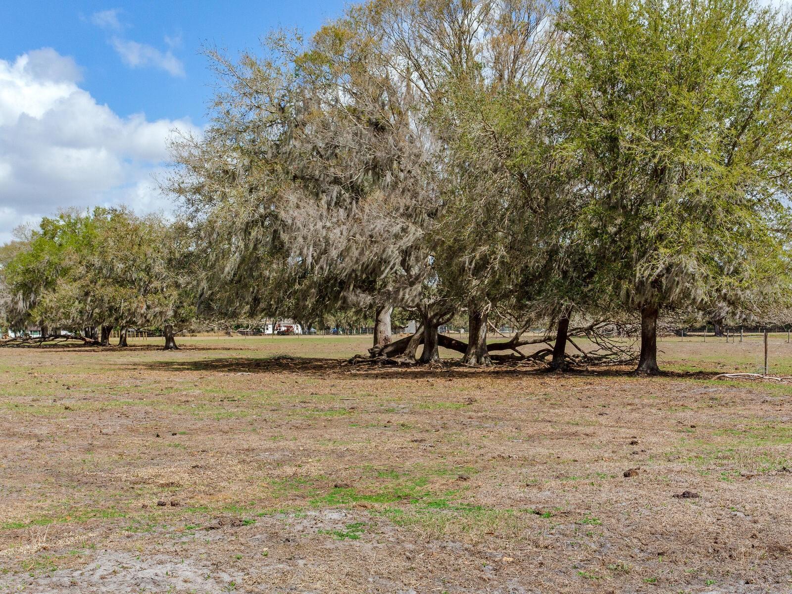0 S Cr 39 Property Photo 10