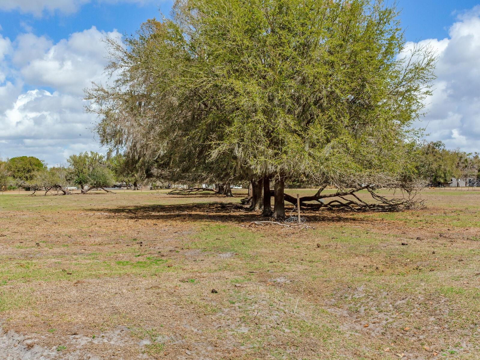 0 S Cr 39 Property Photo 12
