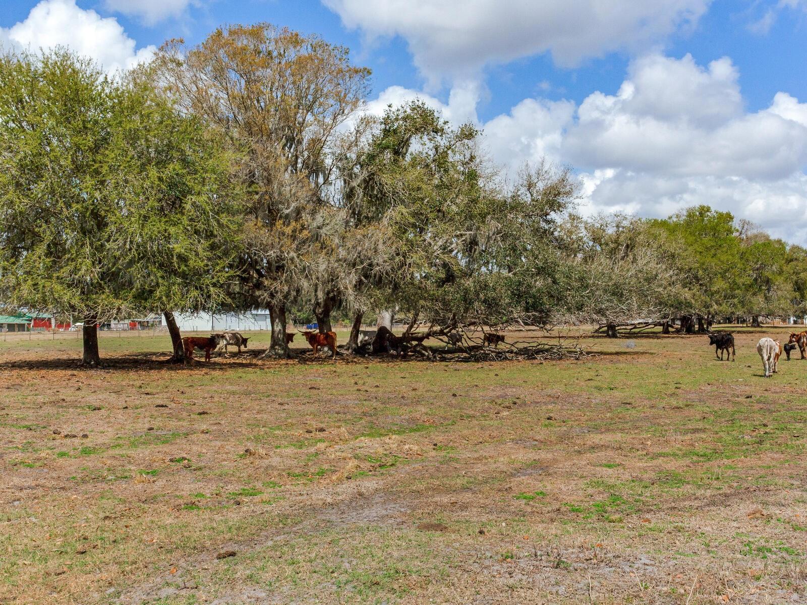 0 S Cr 39 Property Photo 13