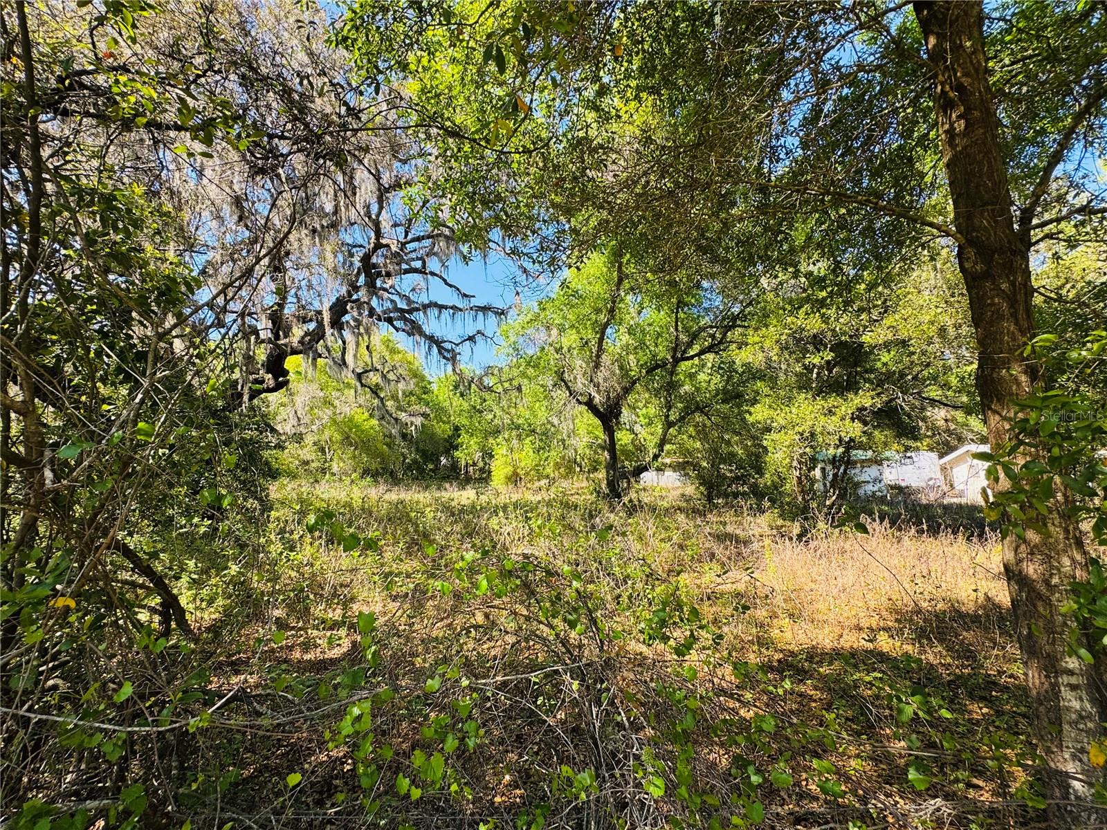 11340 Bessie Dix Rd Property Photo 10