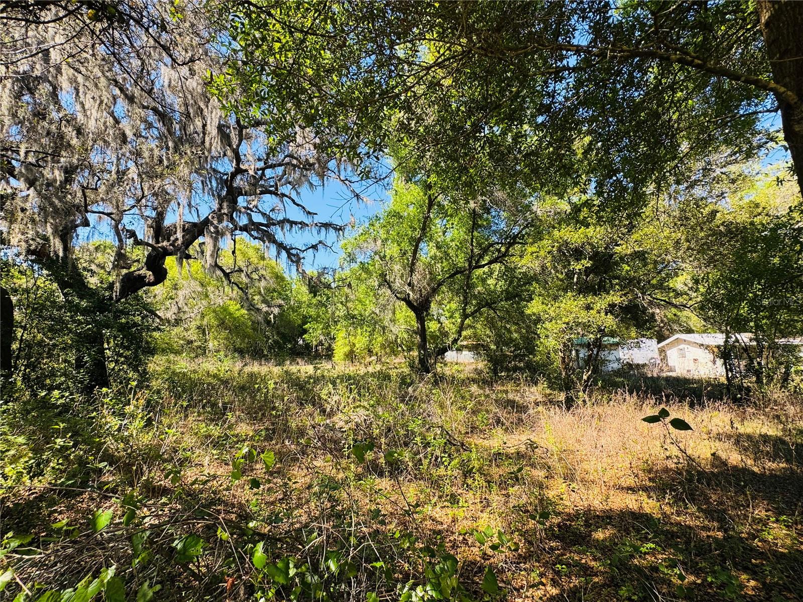 11340 Bessie Dix Rd Property Photo 11