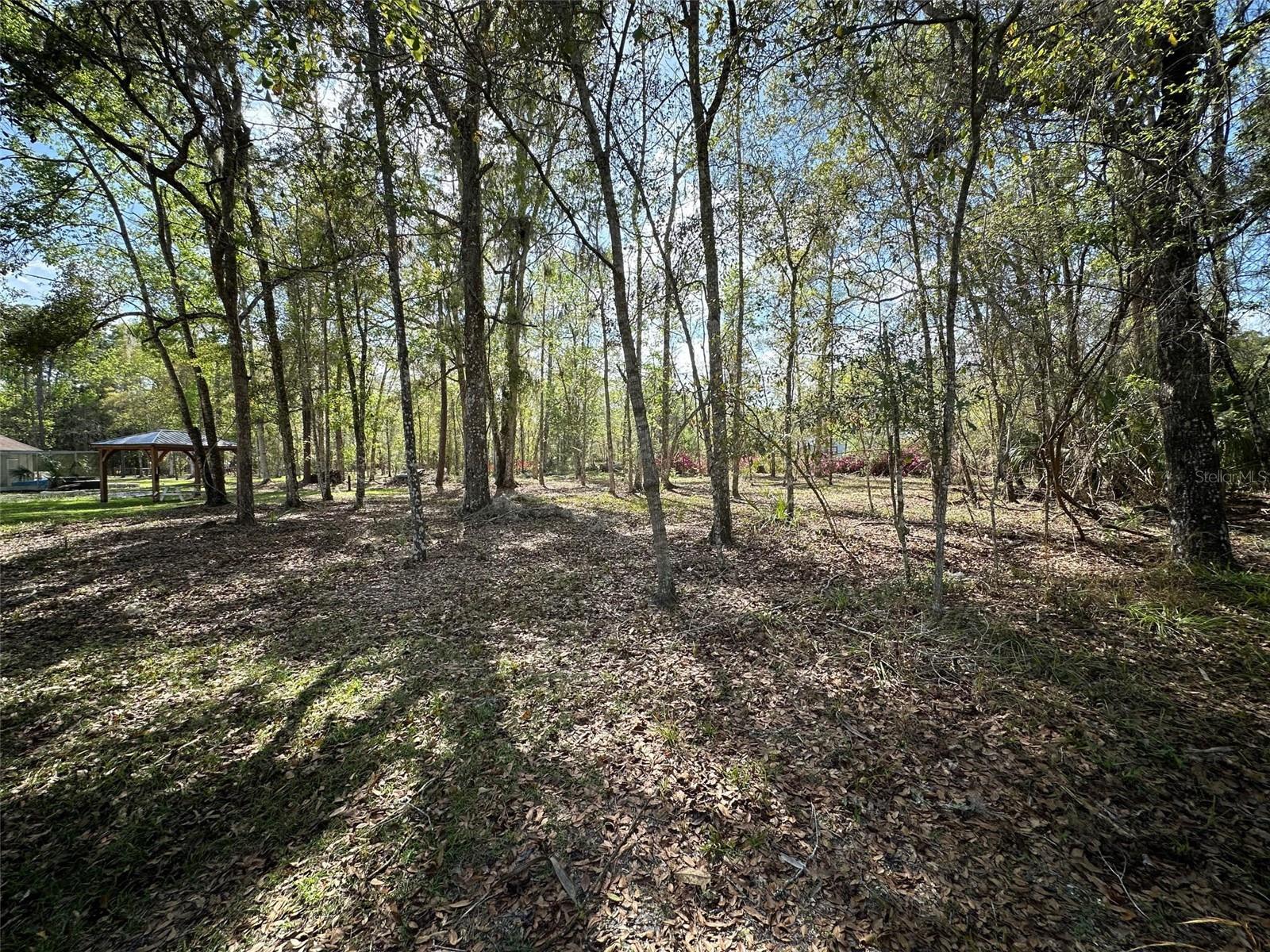 20403 Gamble Dr Property Photo 65