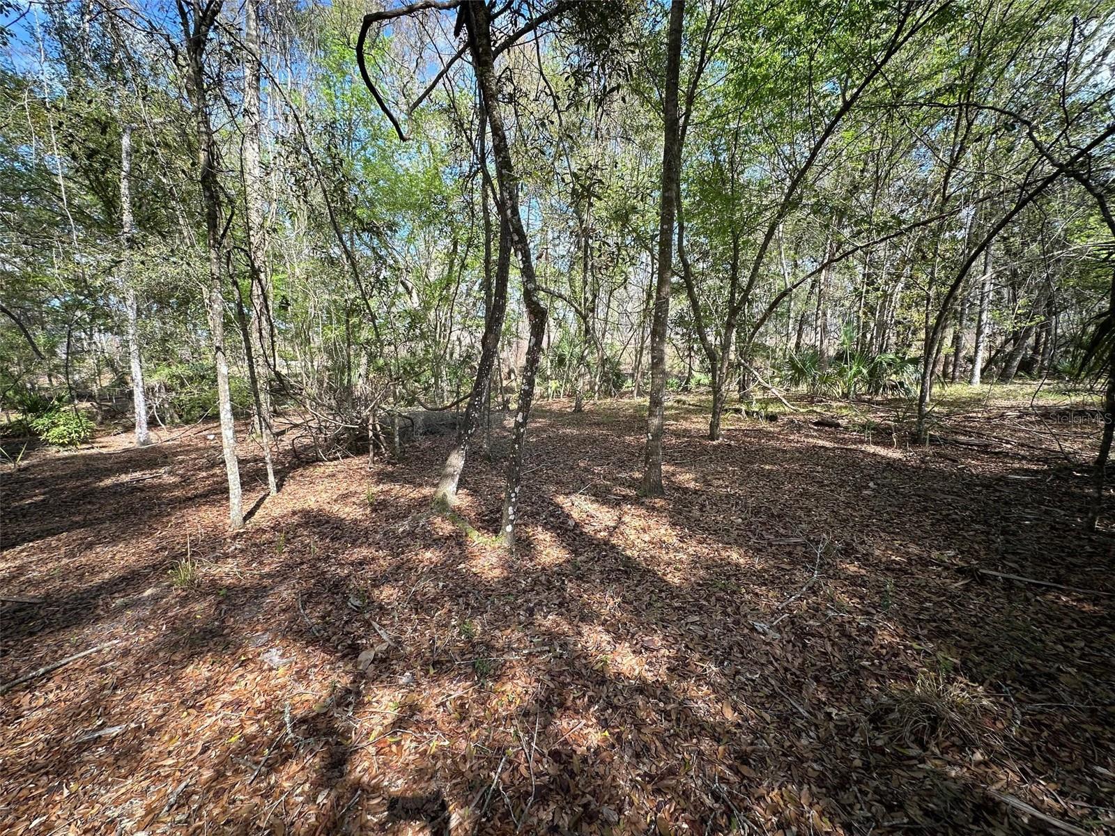 20403 Gamble Dr Property Photo 70