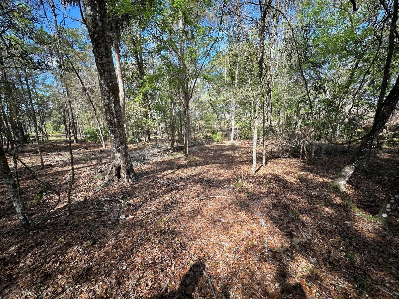 20403 Gamble Dr Property Photo 71