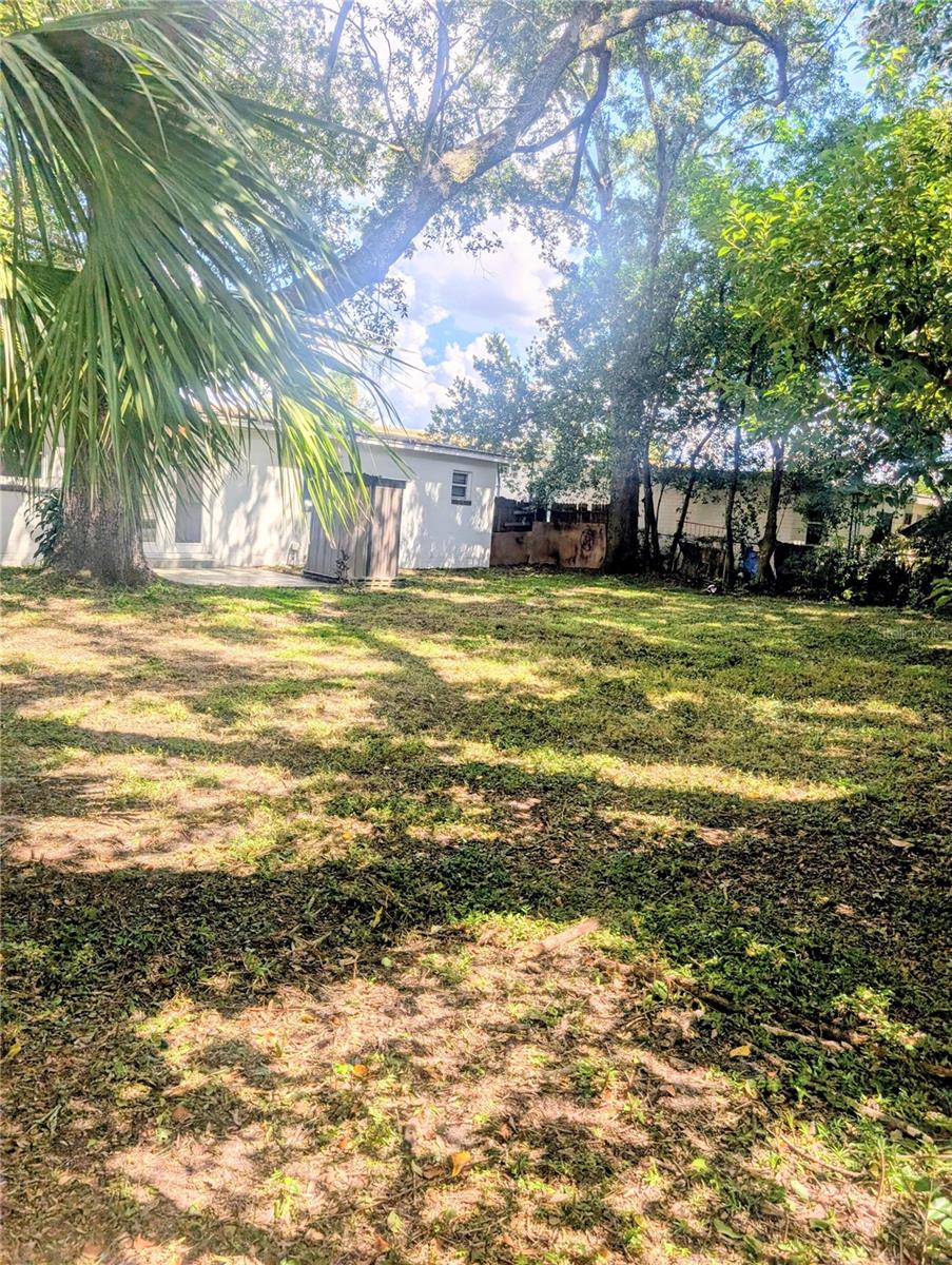 3006 E Anderson St Property Photo 24