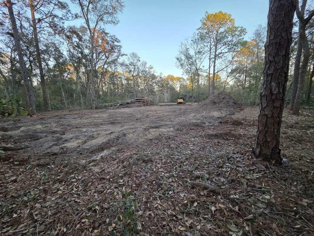 129 Seminole Ave Property Photo 2