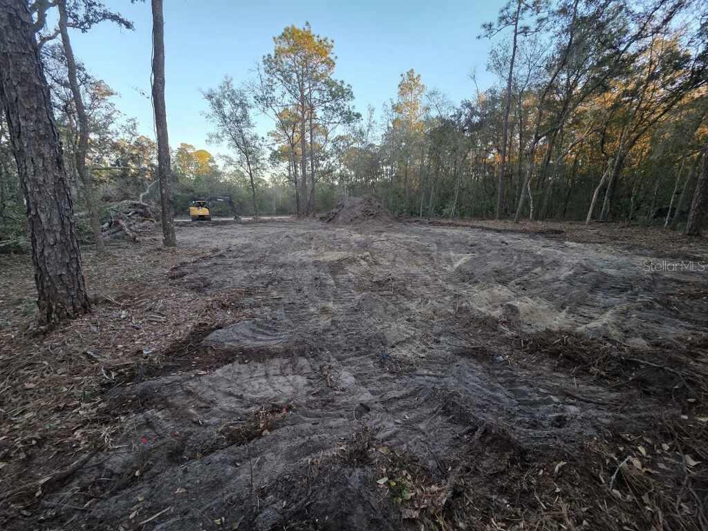 129 Seminole Ave Property Photo 3