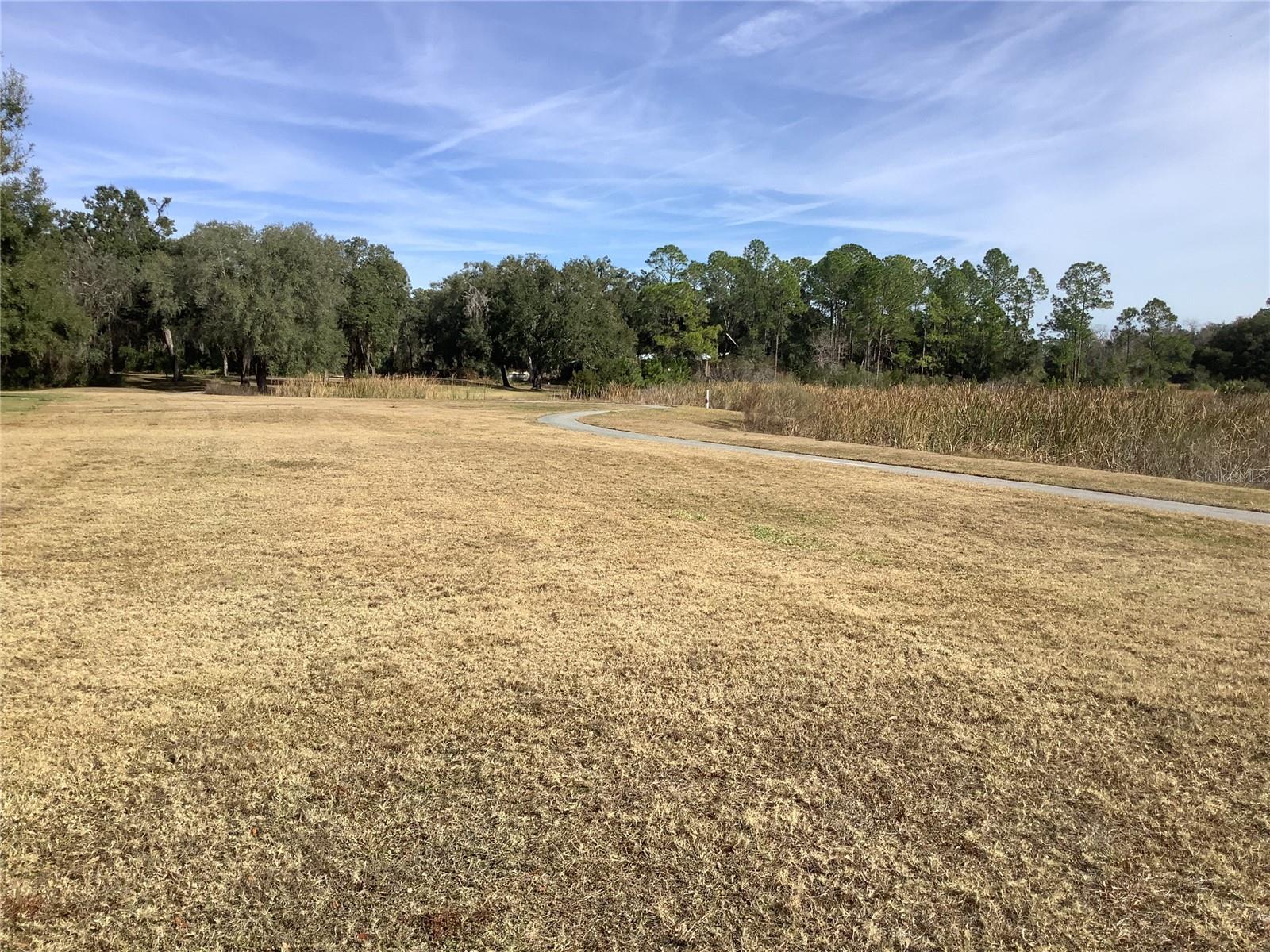 34433 Cedarfield Dr Property Photo 53