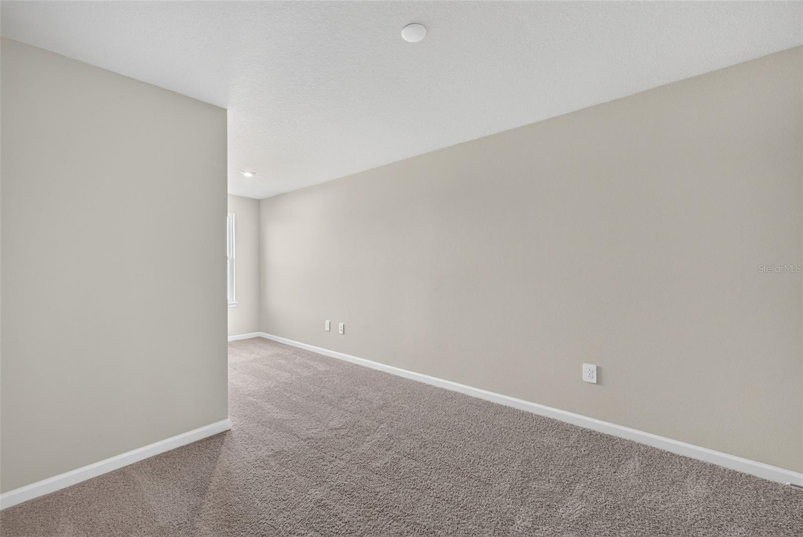 8823 Ginko Run Property Photo 20