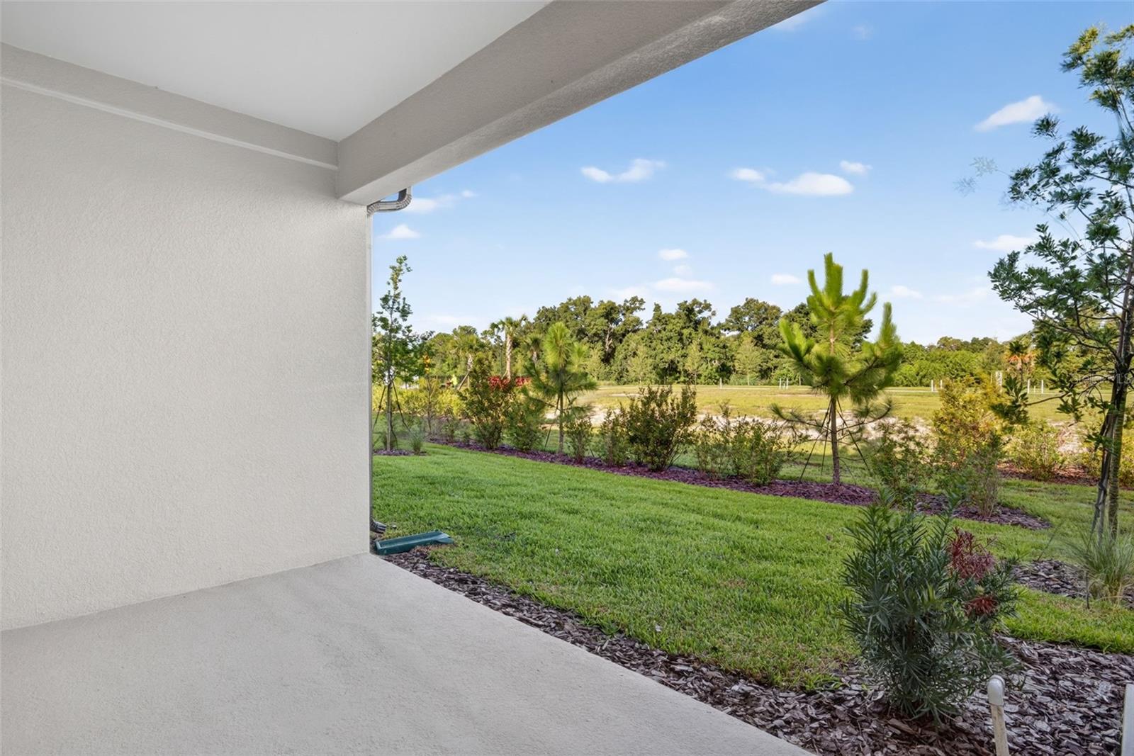 8823 Ginko Run Property Photo 26