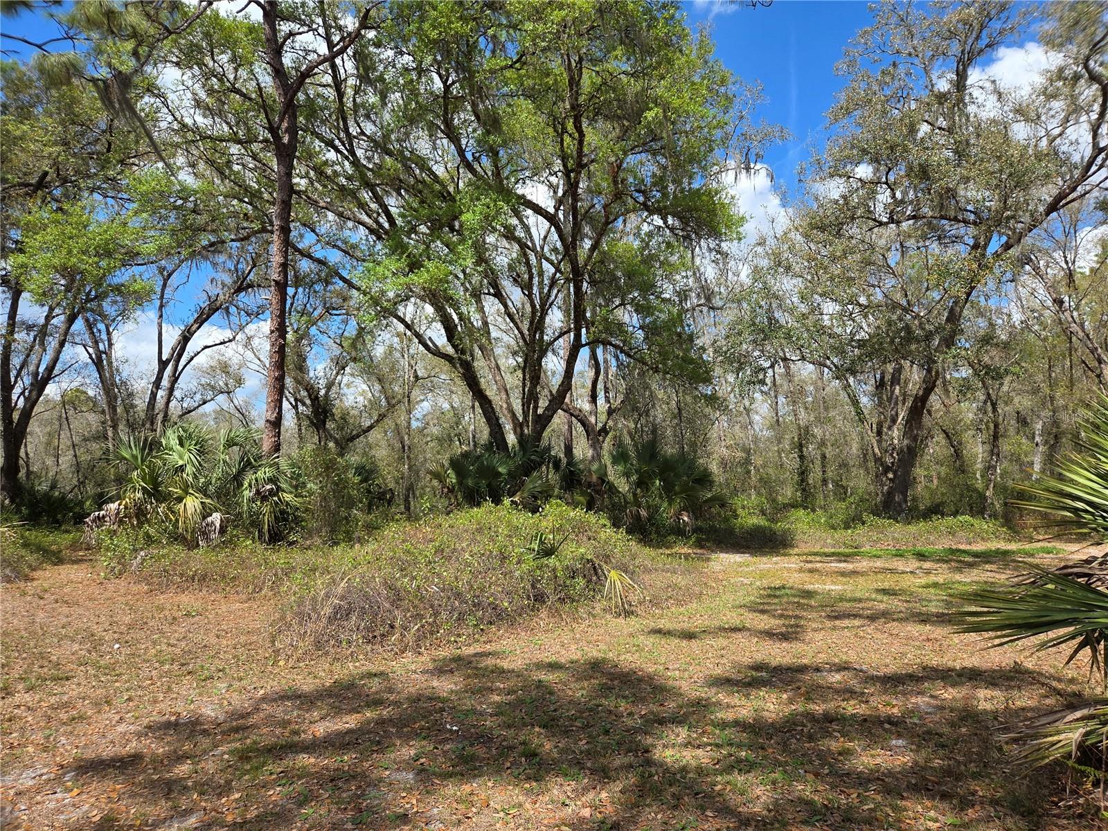 12503 Avery Rd Property Photo 10