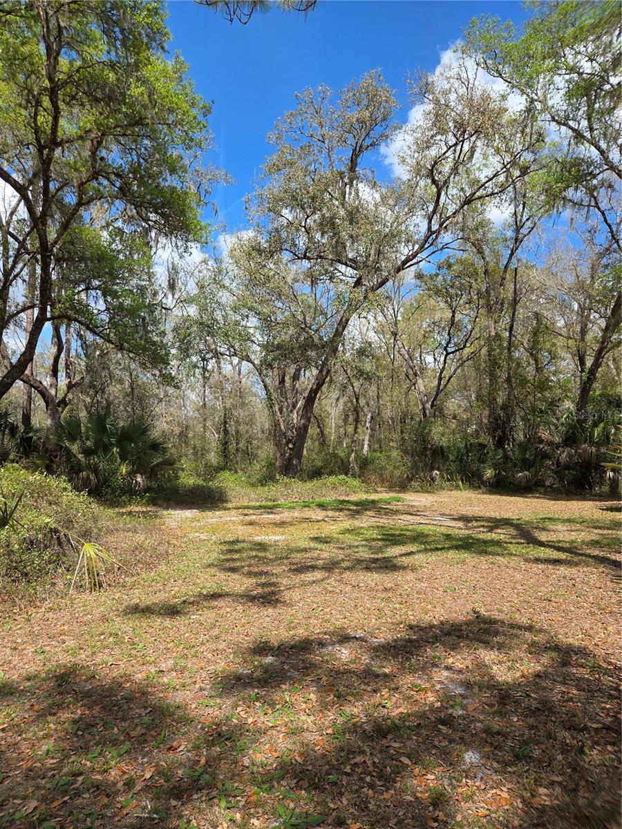 12503 Avery Rd Property Photo 11