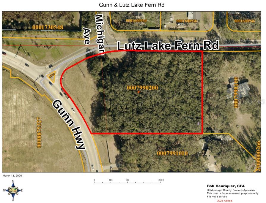 Lutz Lake Fern Rd Property Photo 2