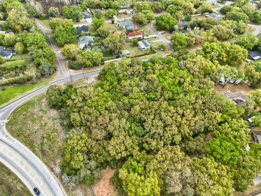Lutz Lake Fern Rd Property Photo 17