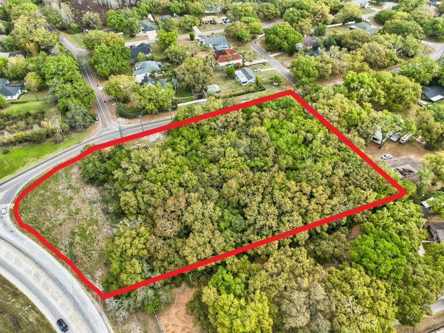 Lutz Lake Fern Rd Property Photo 18