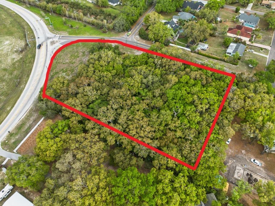 Lutz Lake Fern Rd Property Photo 20