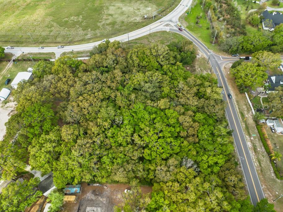 Lutz Lake Fern Rd Property Photo 21
