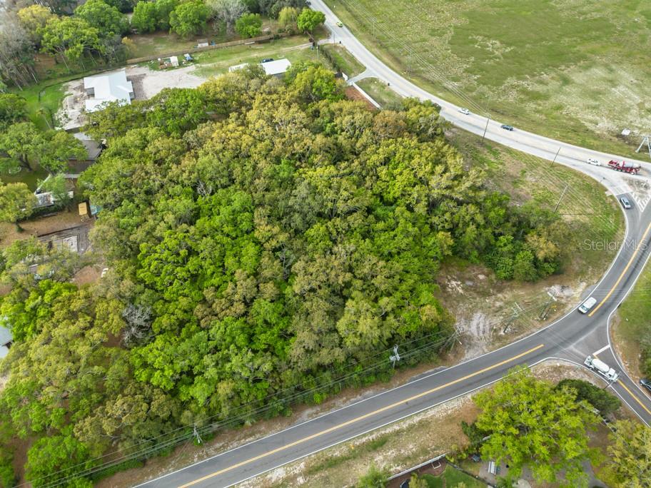Lutz Lake Fern Rd Property Photo 22