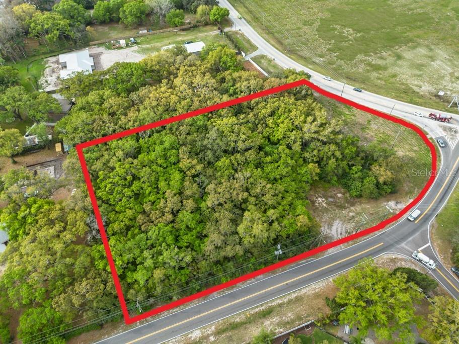 Lutz Lake Fern Rd Property Photo 23