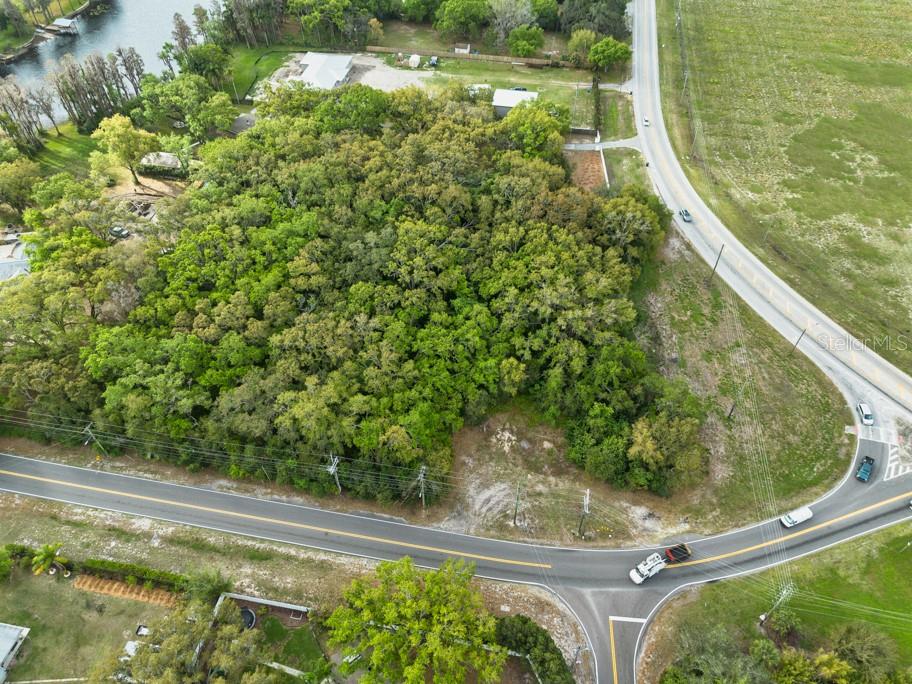 Lutz Lake Fern Rd Property Photo 24