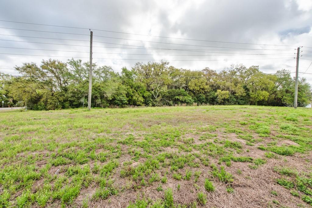 Lutz Lake Fern Rd Property Photo 28