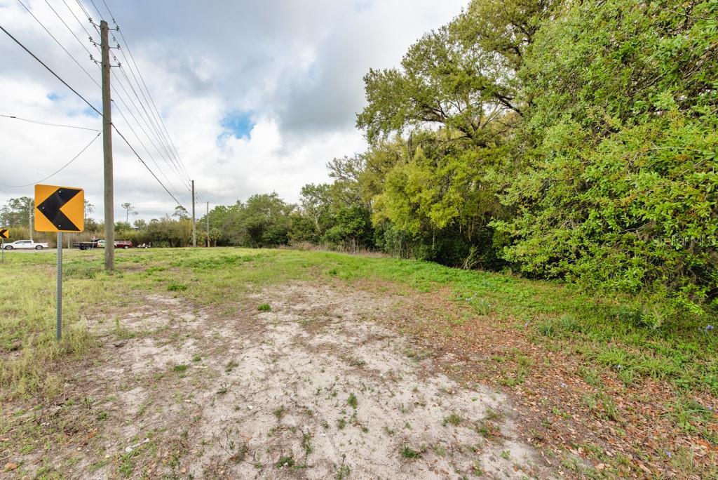 Lutz Lake Fern Rd Property Photo 29