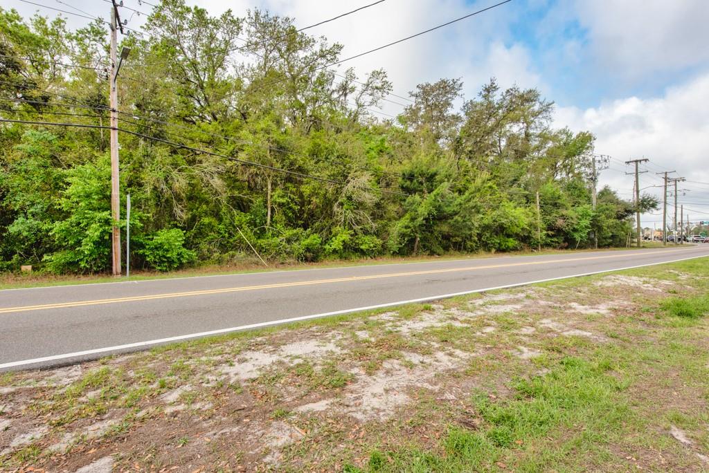 Lutz Lake Fern Rd Property Photo 36
