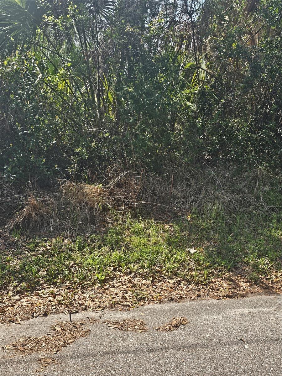 Tbd Unassigned Property Photo 1