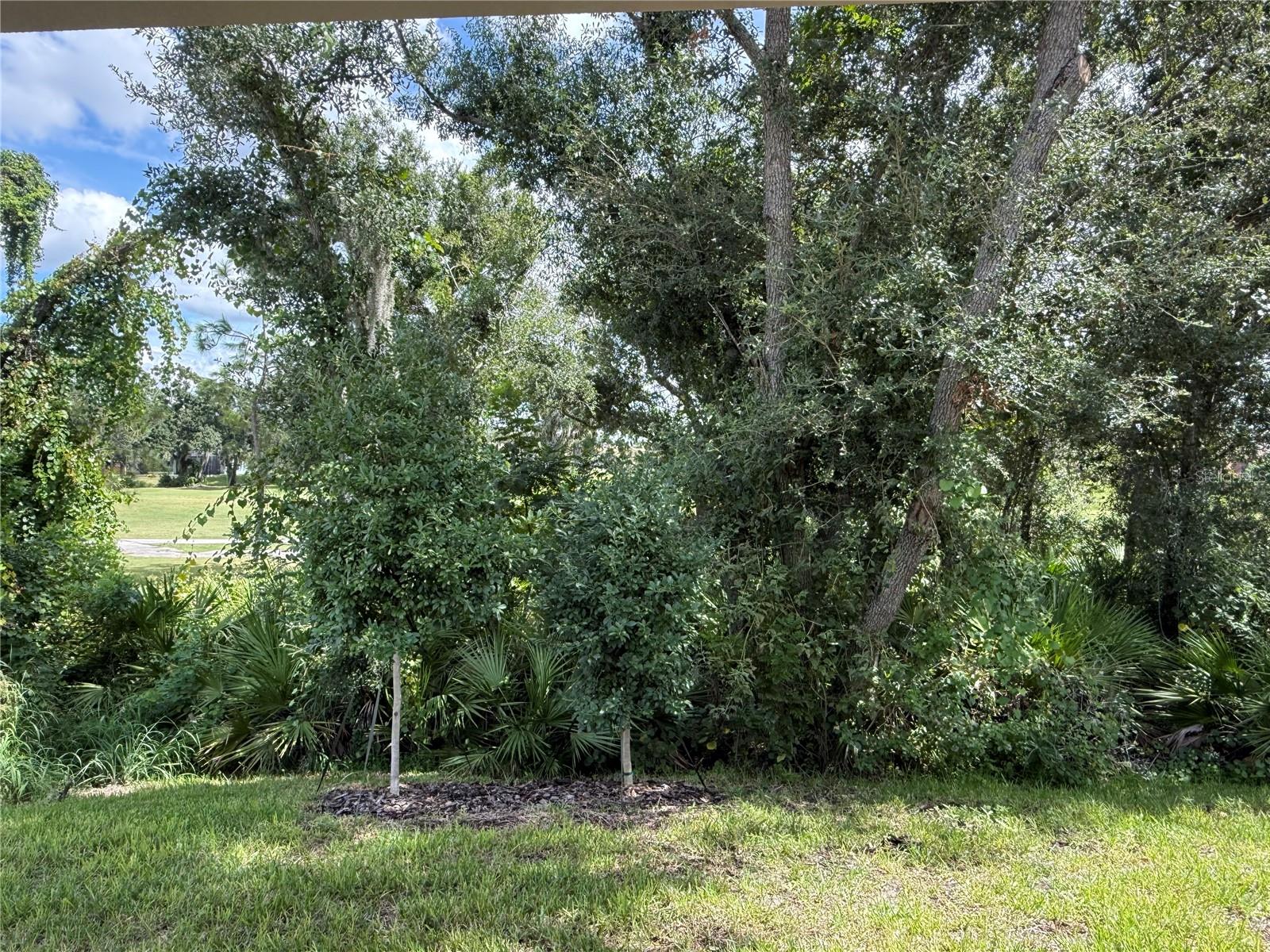 3695 Nandina Cir Property Photo 8