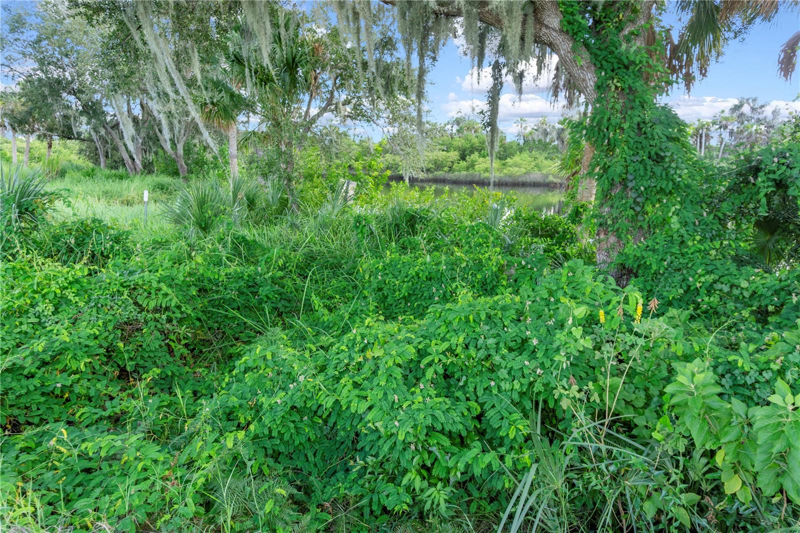 11609 Bayou Cv Property Photo 25