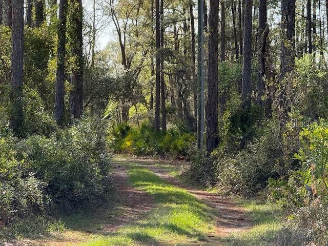 Tbd Us 19 Property Photo 3