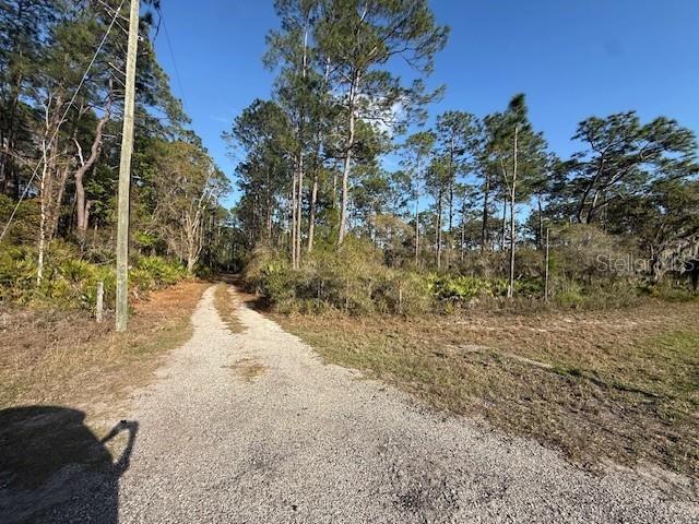 Tbd Us 19 Property Photo 5