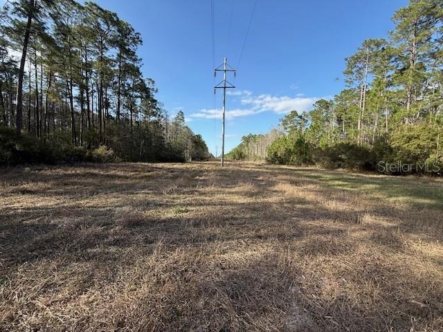 Tbd Us 19 Property Photo 6