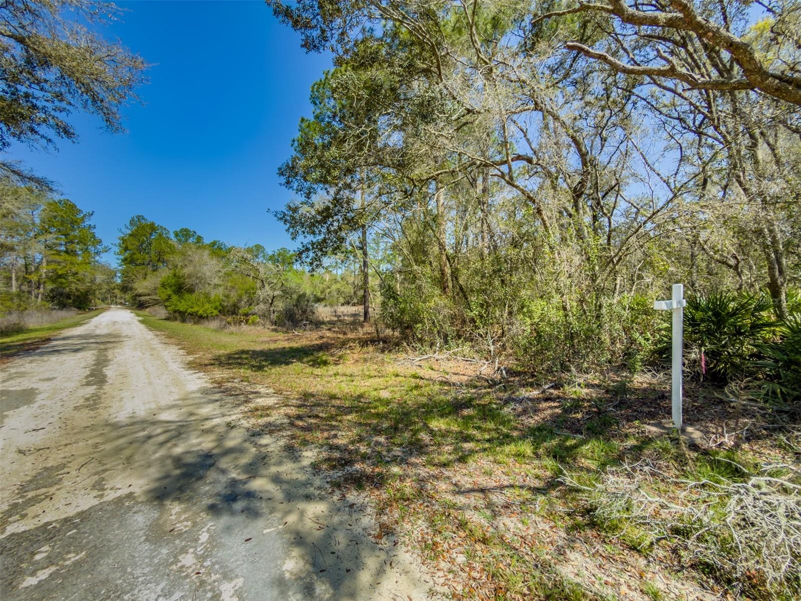 7262 Sonia Ave Property Photo 5