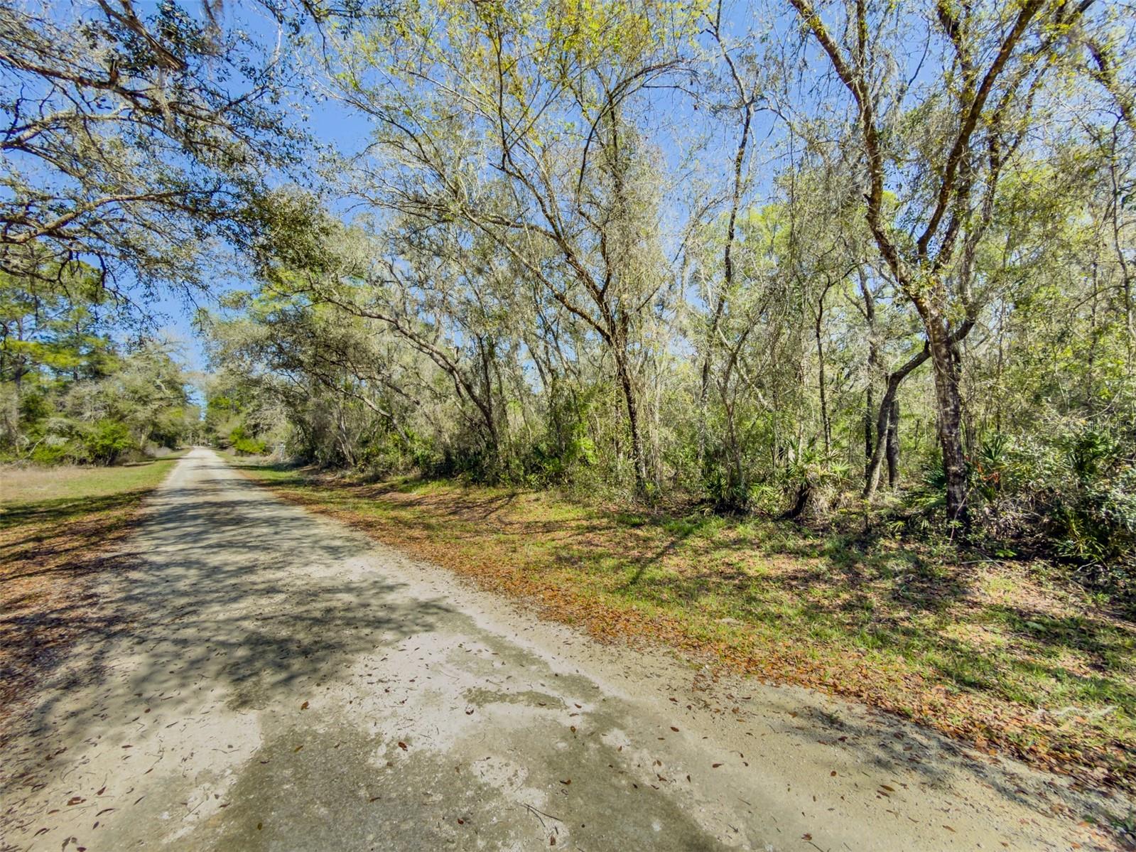 7262 Sonia Ave Property Photo 11
