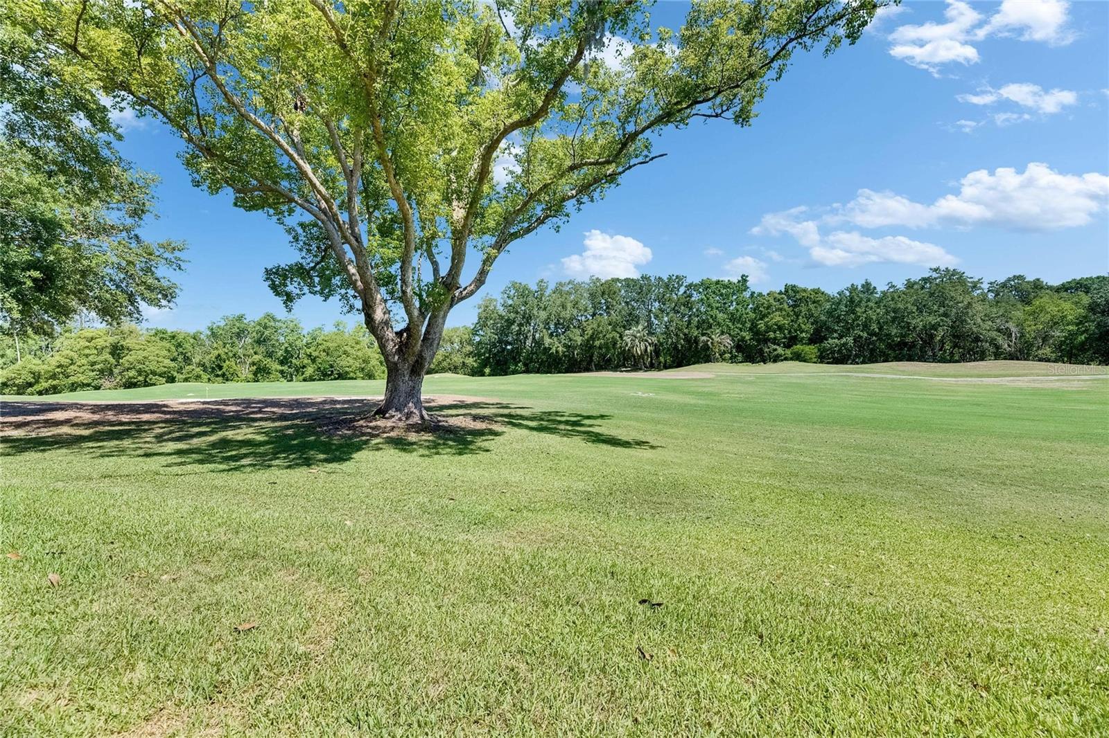 29903 Baywood Ln Property Photo 57