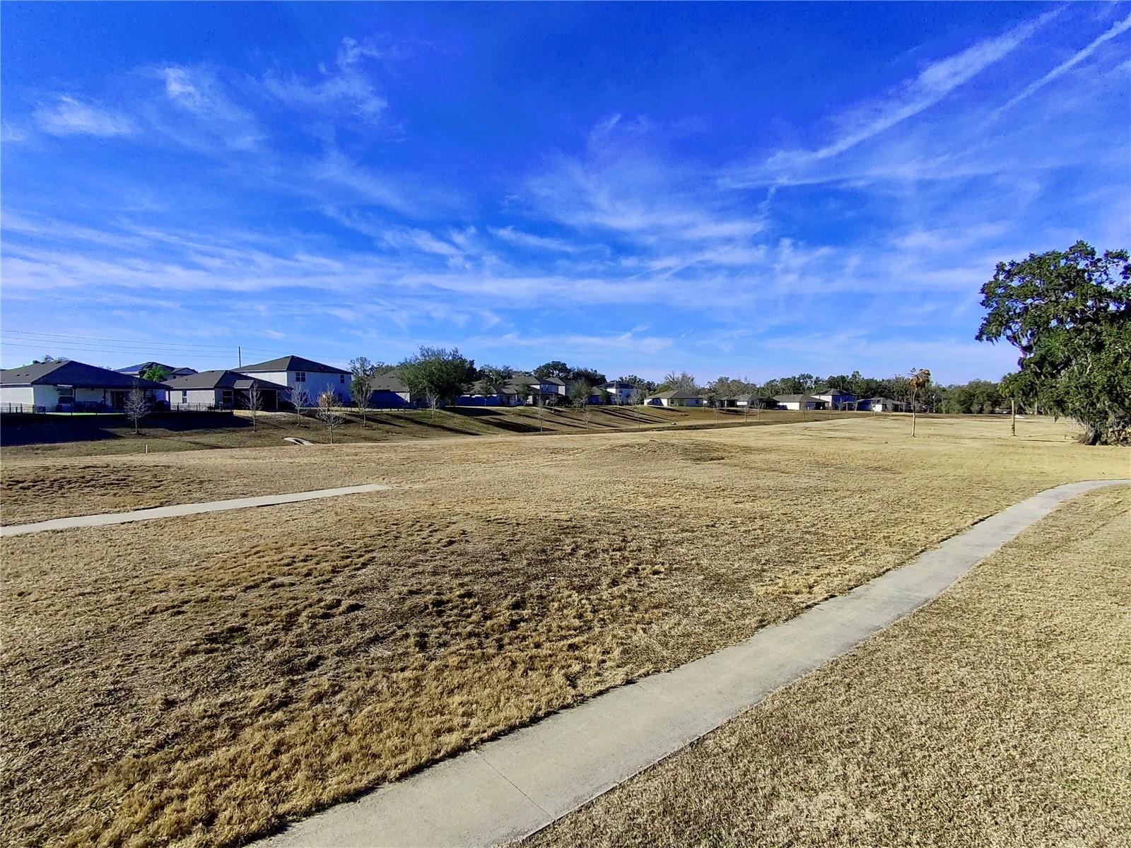 6803 Branham Mill Ct Property Photo 26