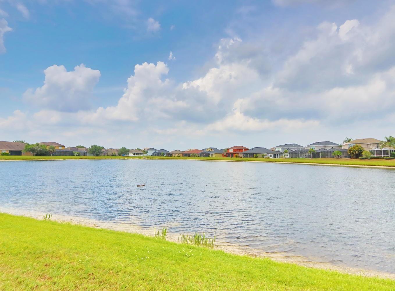 13714 Artesa Bell Dr Property Photo 29