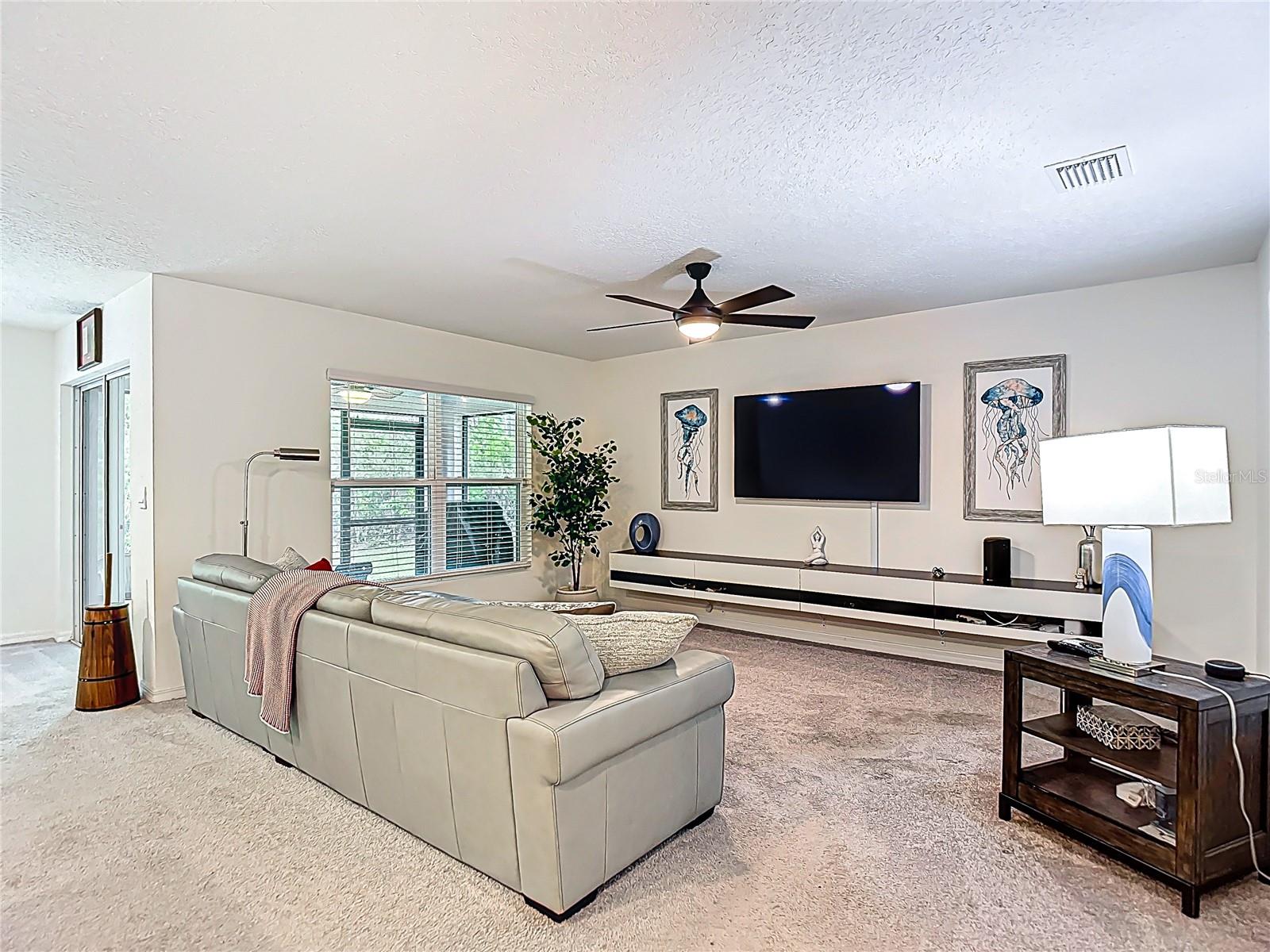 5274 Diantha Way Property Photo 7