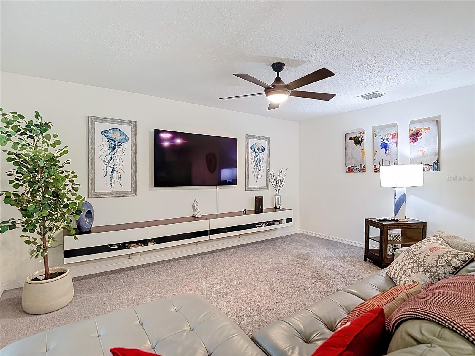 5274 Diantha Way Property Photo 11